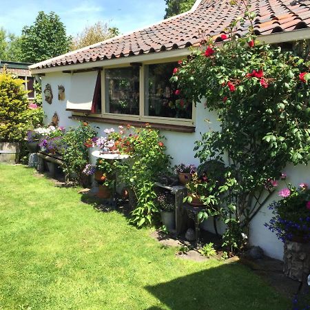 Villa Aan De Schulpvaart à Limmen Extérieur photo